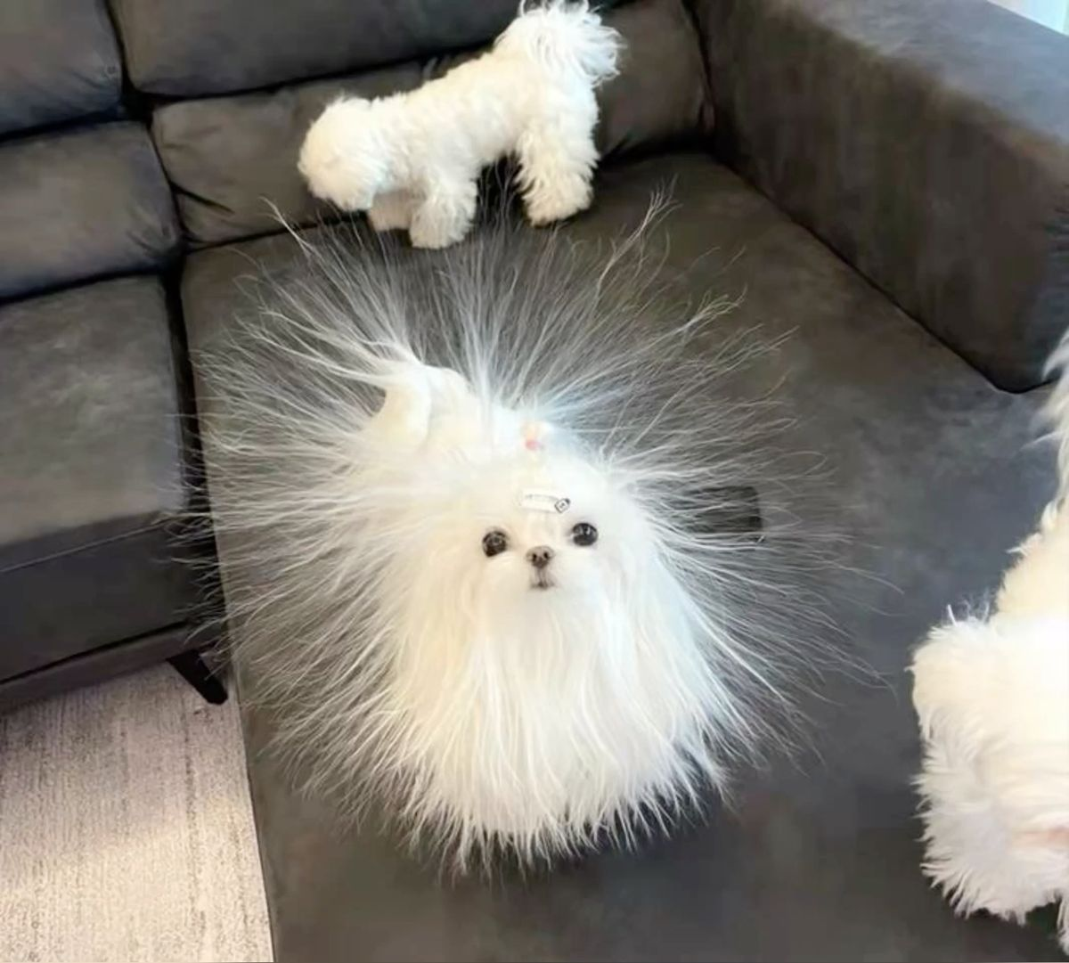 1757059805925.png