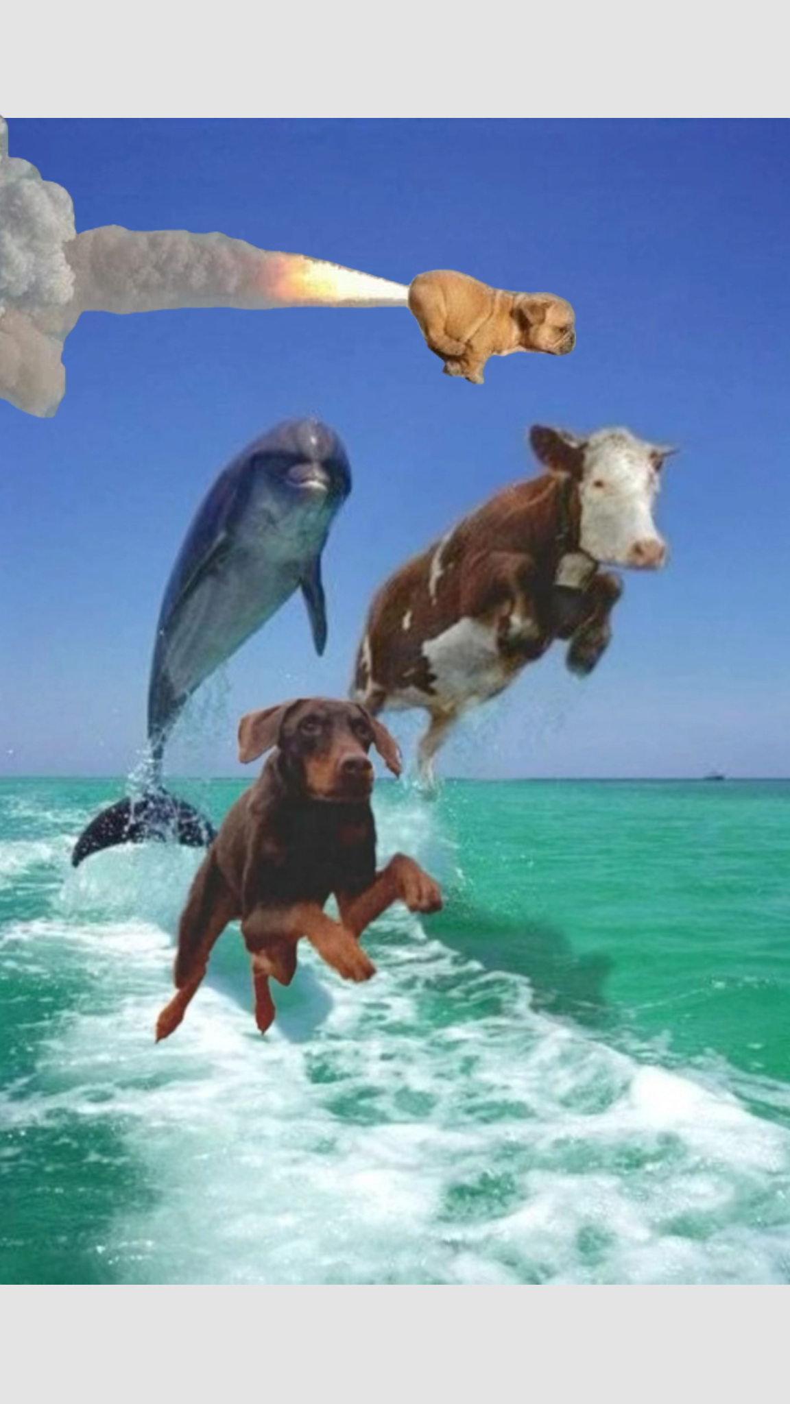 1757060150312.png