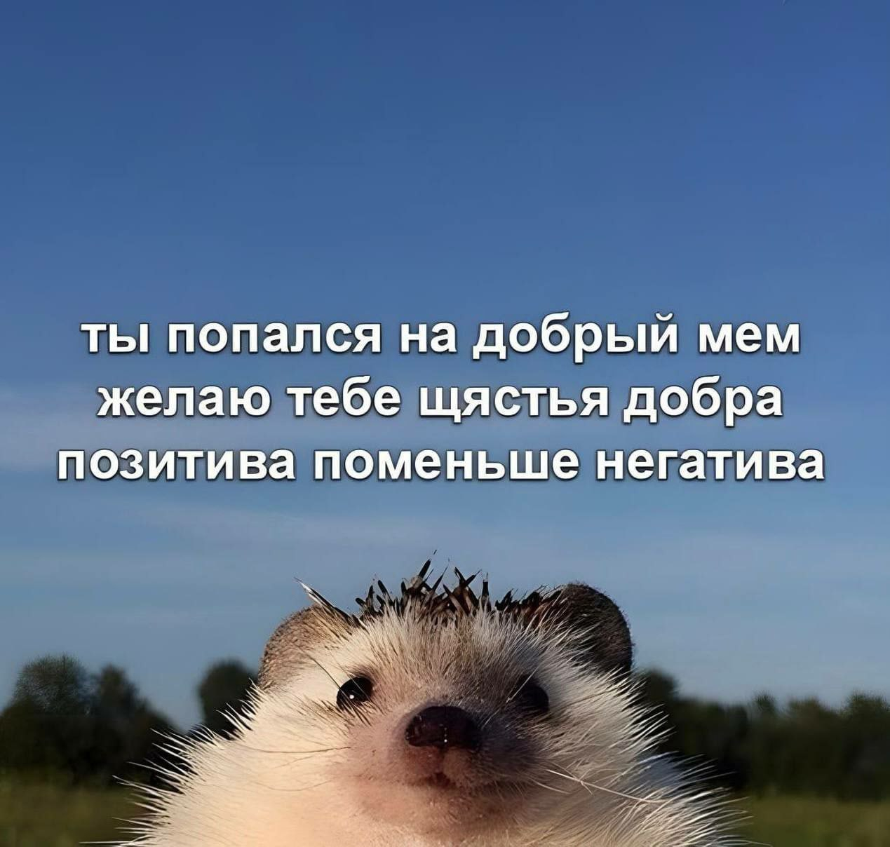 1757068269849.png
