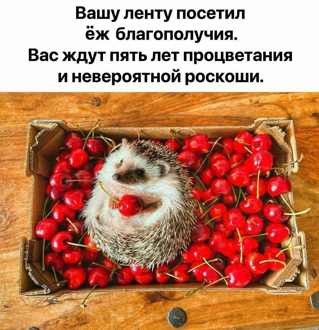 1757068366000.png