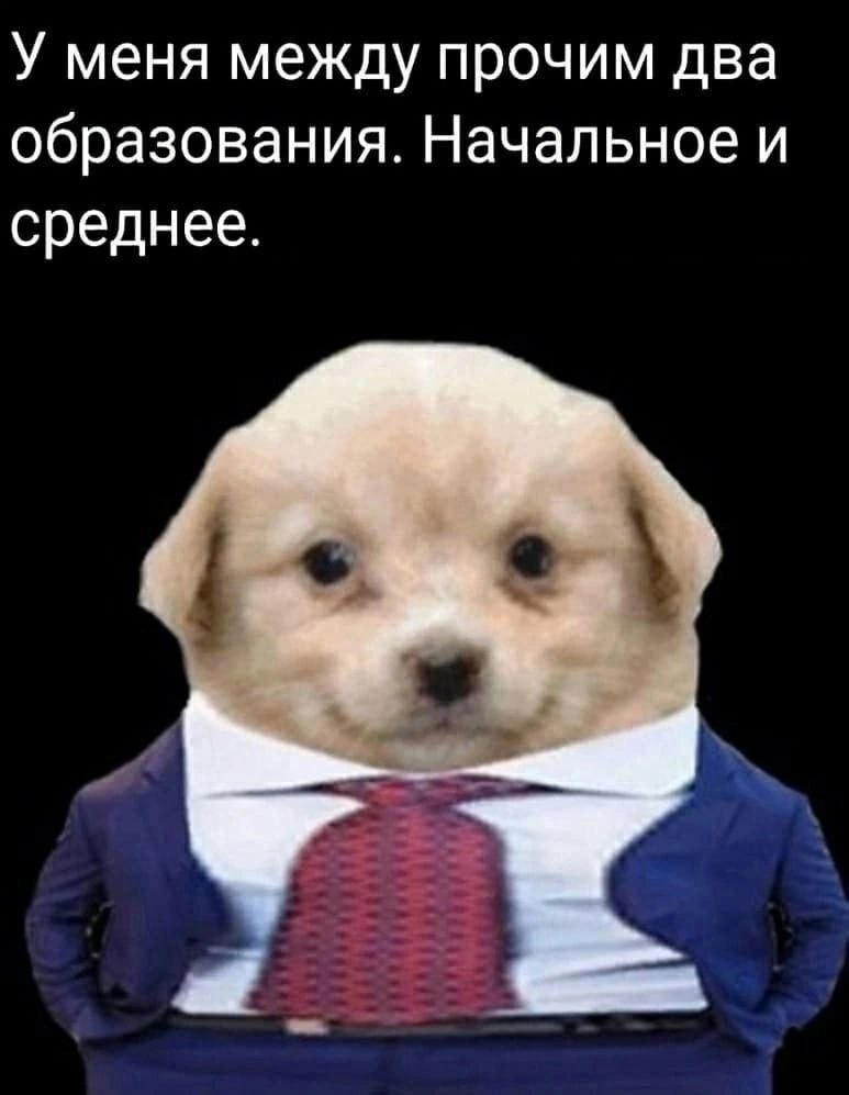 1757072900293.png