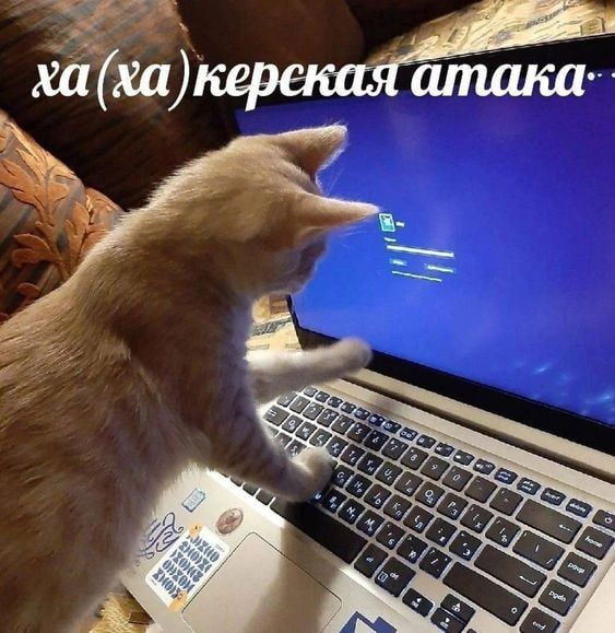 1757089018384.png