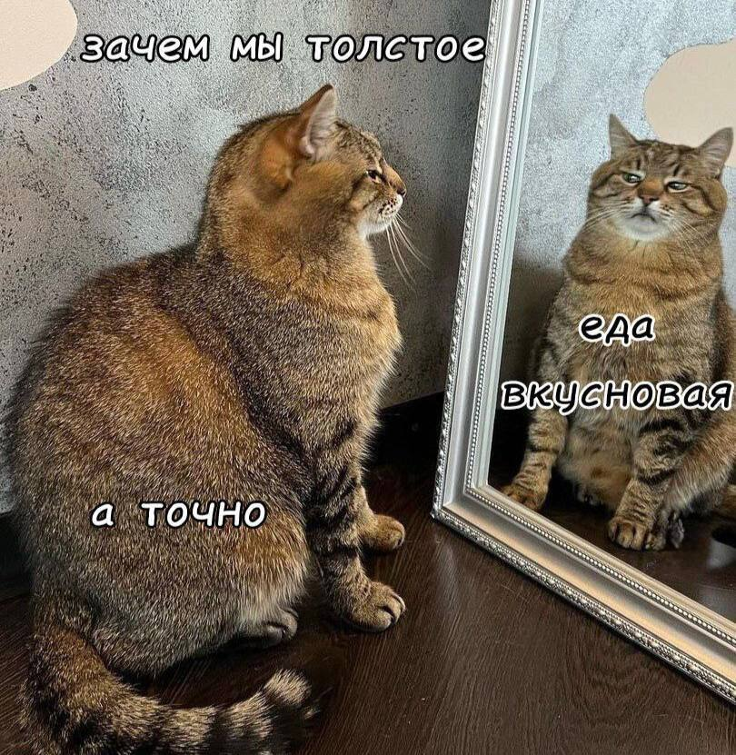 1757403971765.png