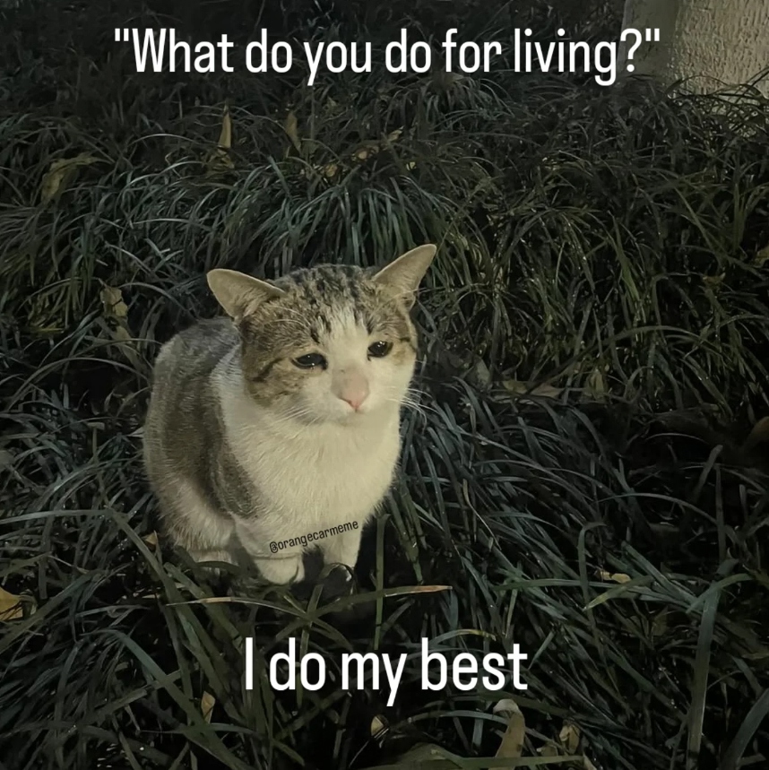 1757525877817.png