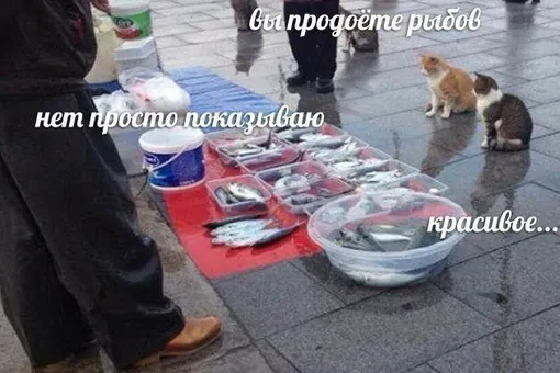 1757932488647.png
