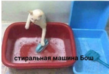 1758016811272.png