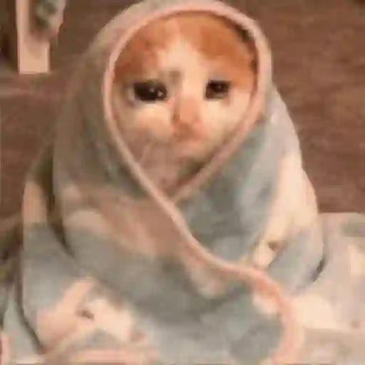 1758902106699.png