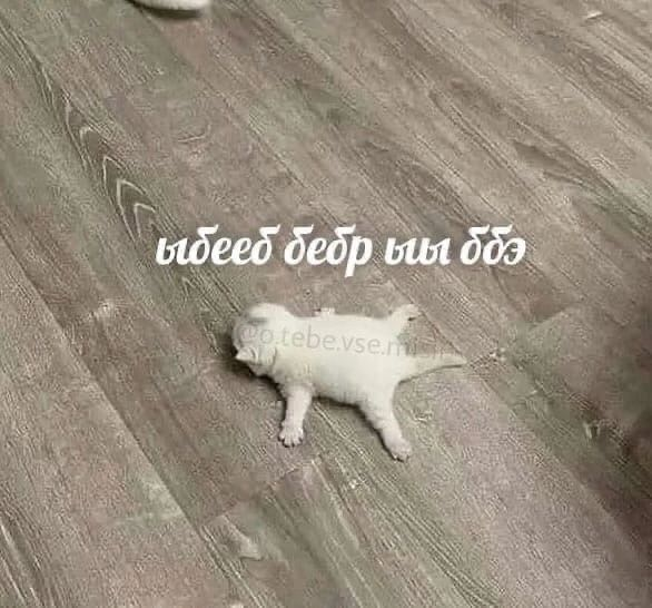 1759133858294.png