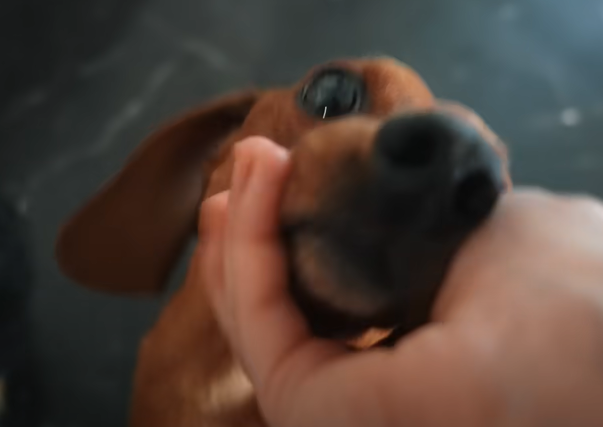 1759144151215.png