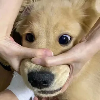 1759145355587.png