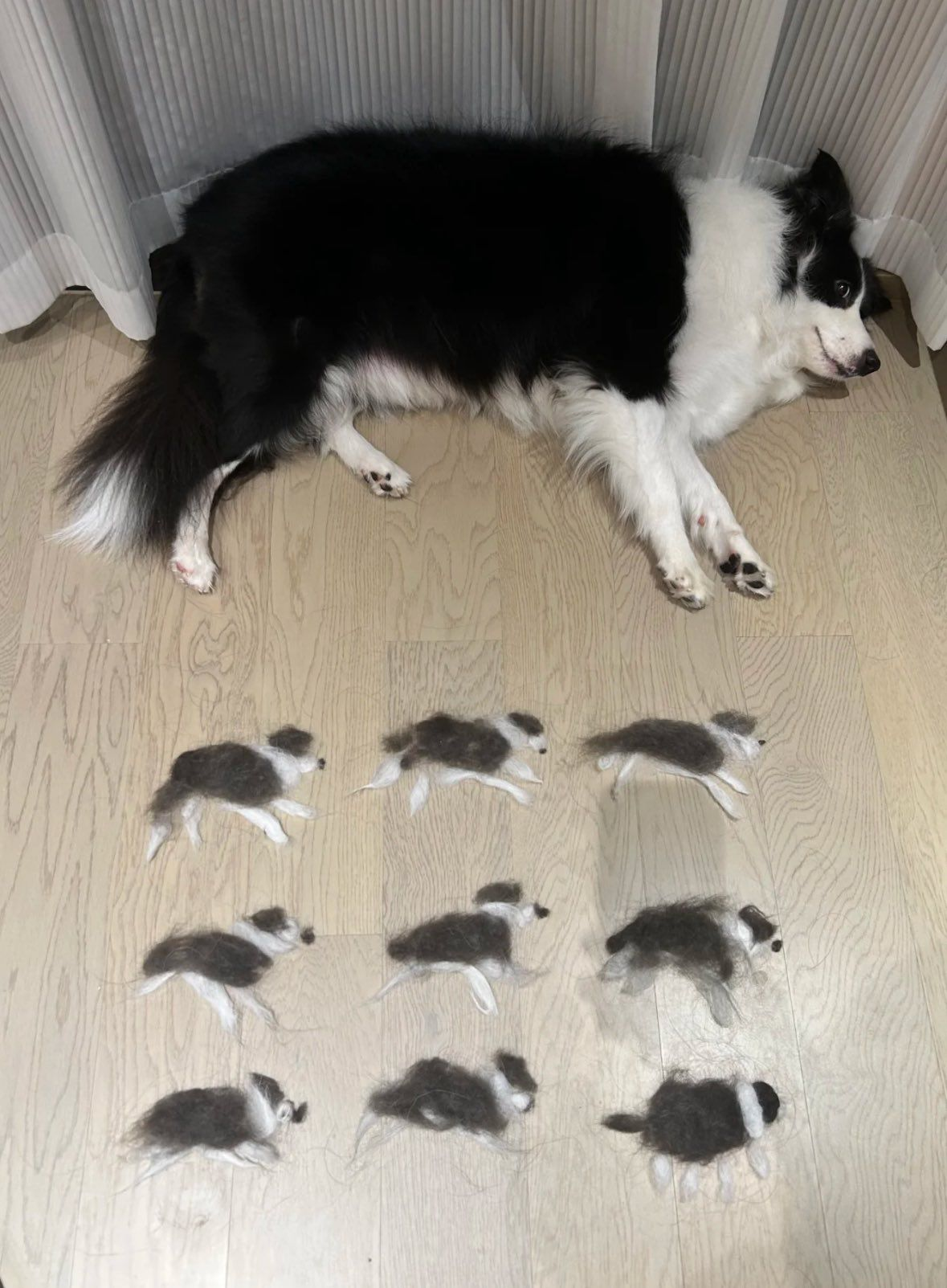 1759219063242.png