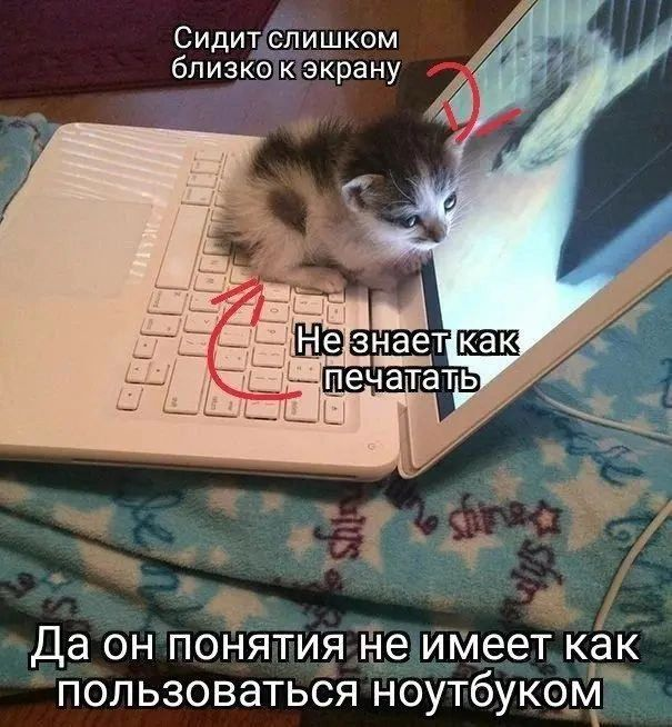 1759394873633.png