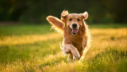 1759434410614.png