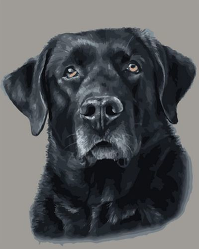 1759524512377.png