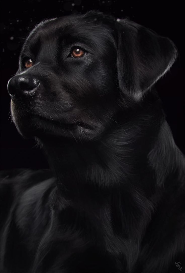 1759524801054.png