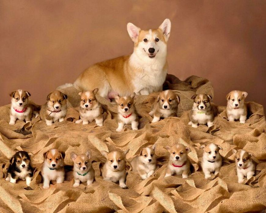 1759526159306.png