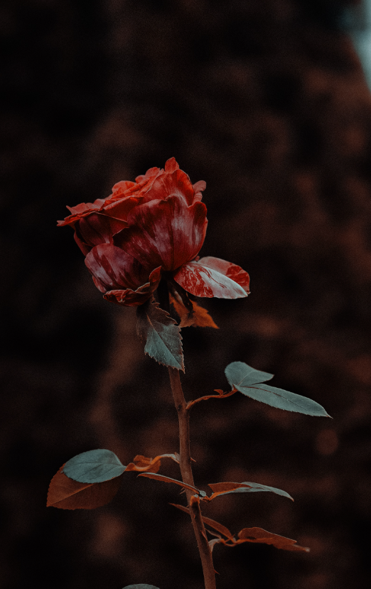 1759857472788.png
