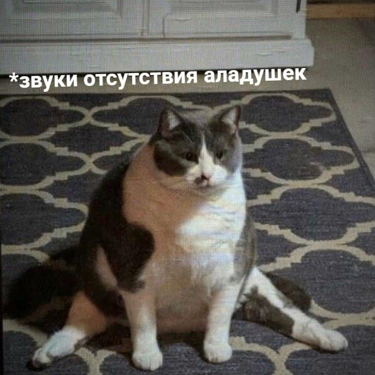 1760001563382.png