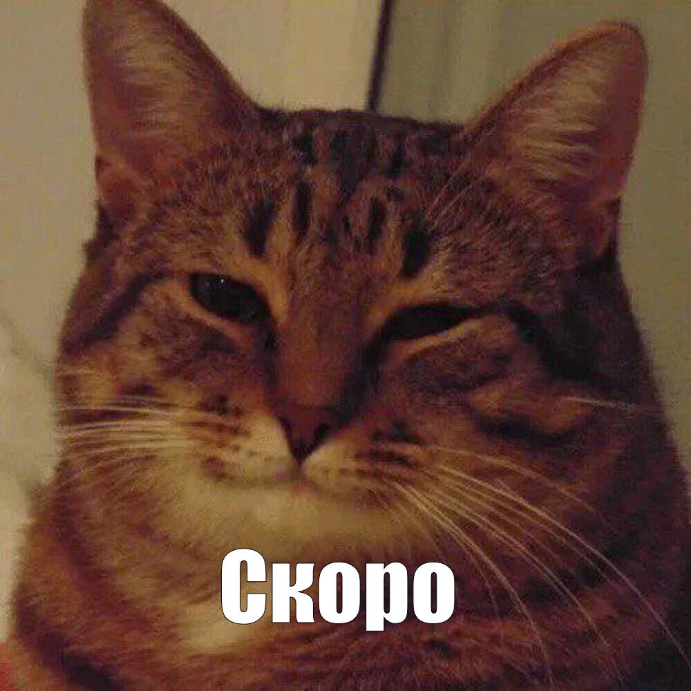 1760193078739.jpeg