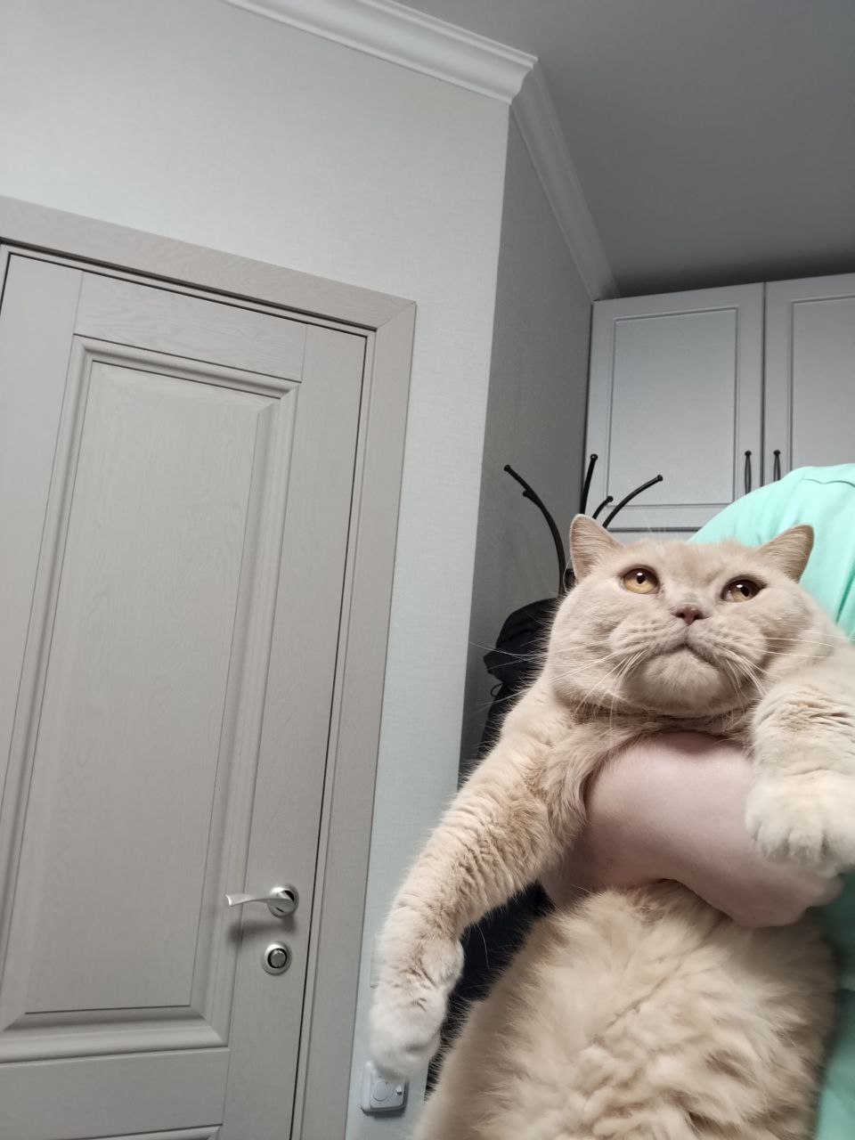 1760472763318.png