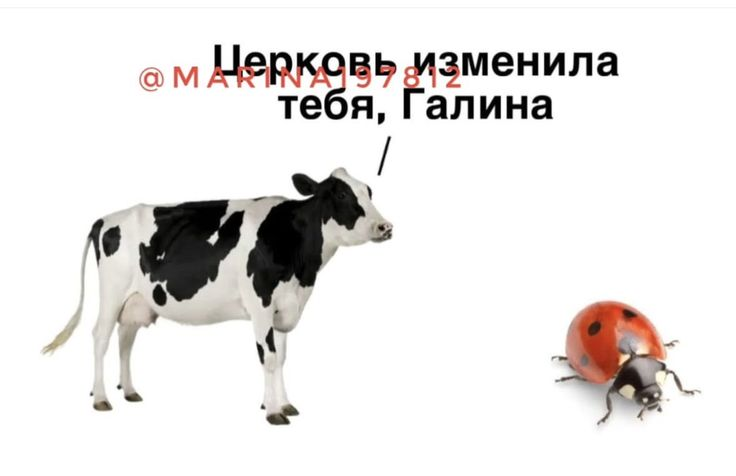 1760687661991.png