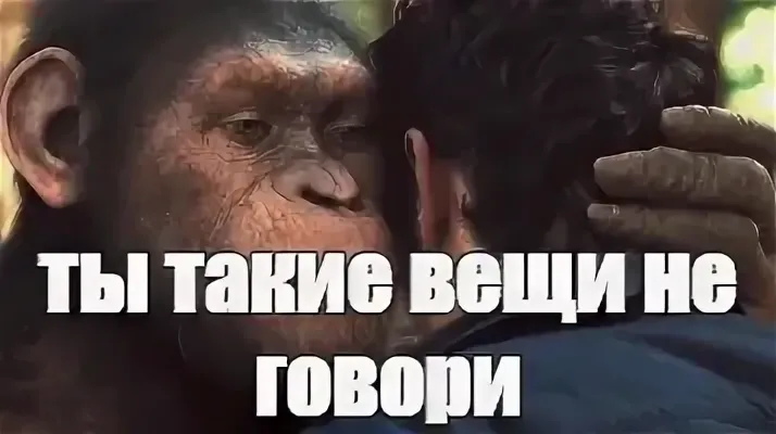 17607028687260.png