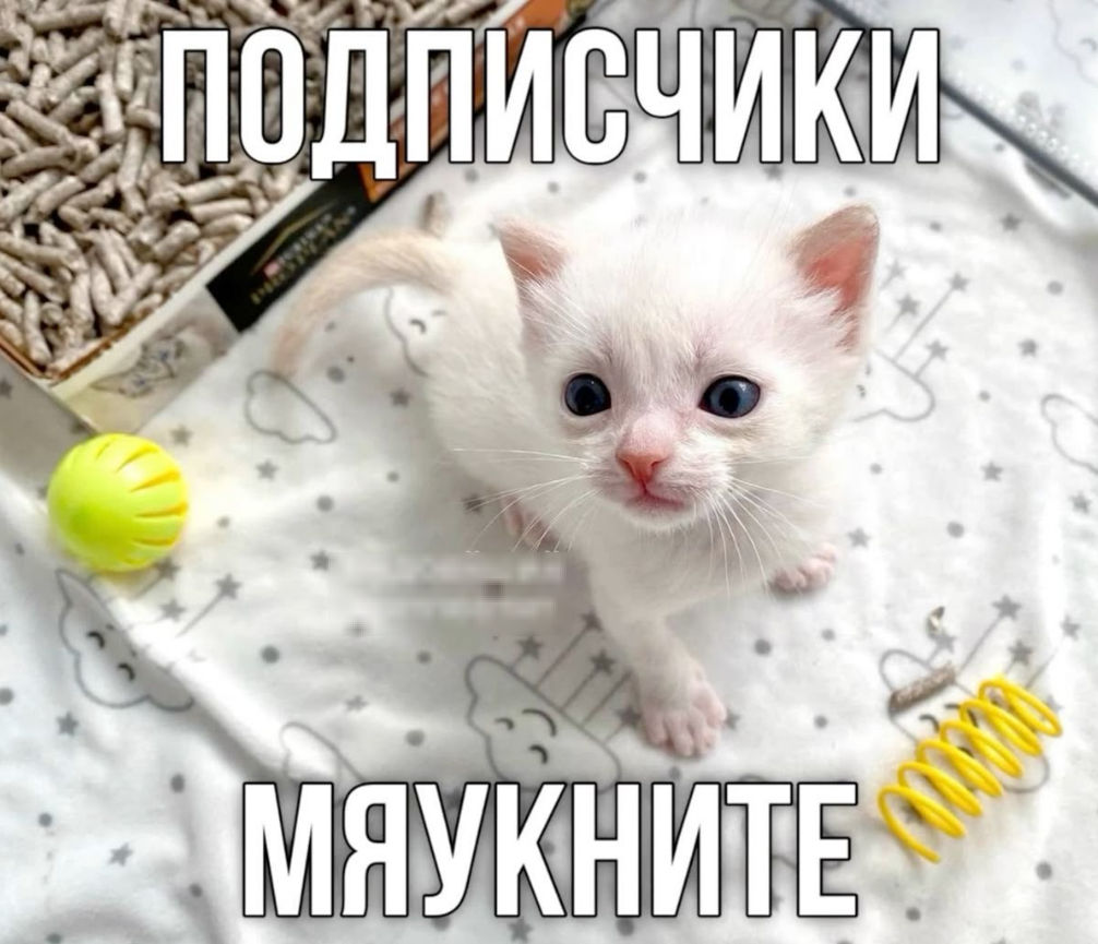 1760801757357.png