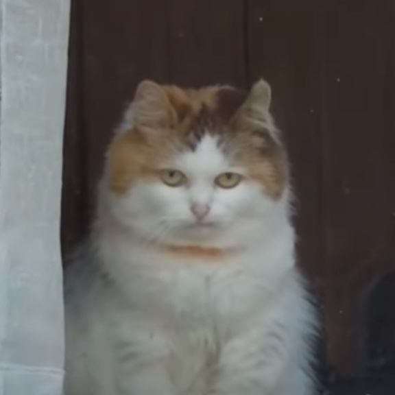 1760956443582.png