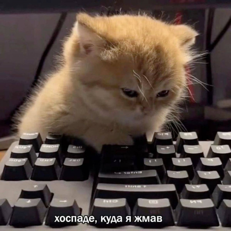 1760985101198.png