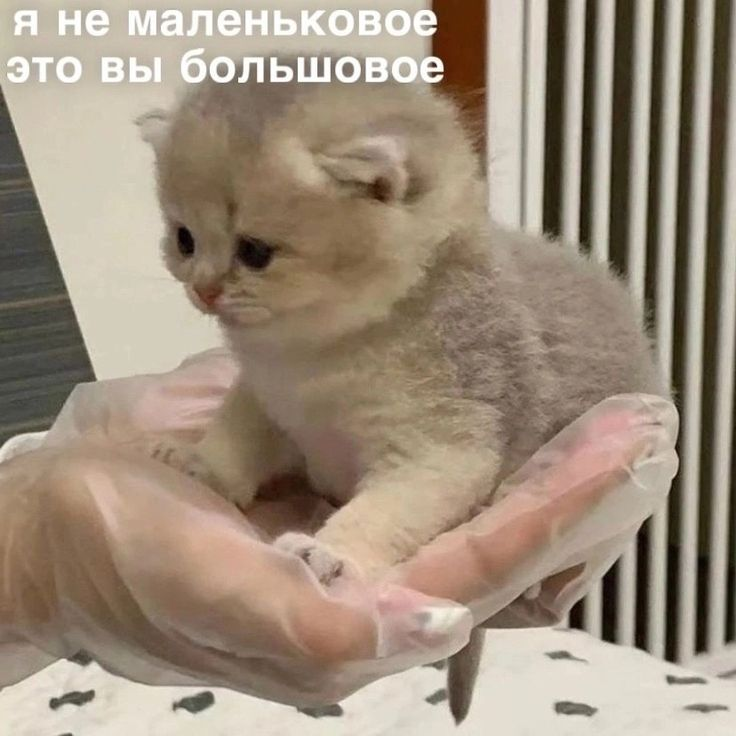 1761064622510.png