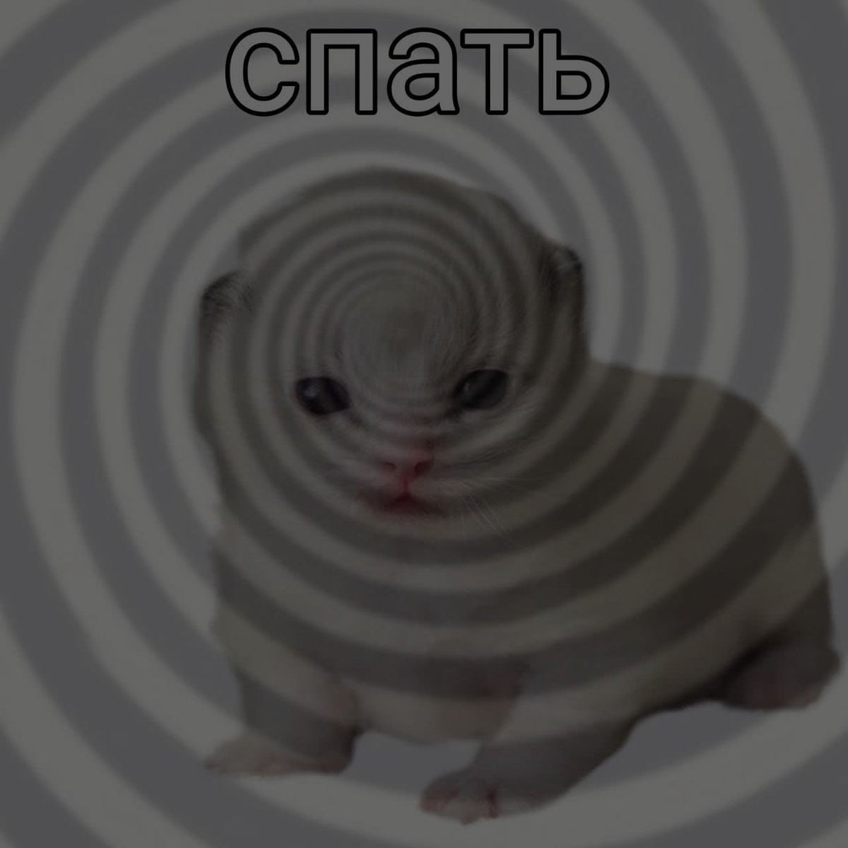 1761199295929.png