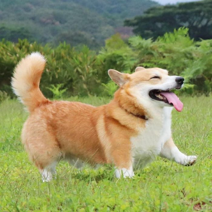 1761302300368.png