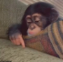 1761313726557.png