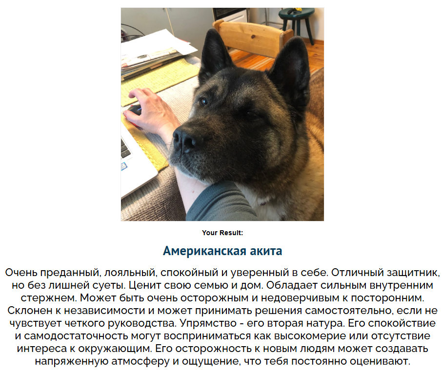 1763106526994.png