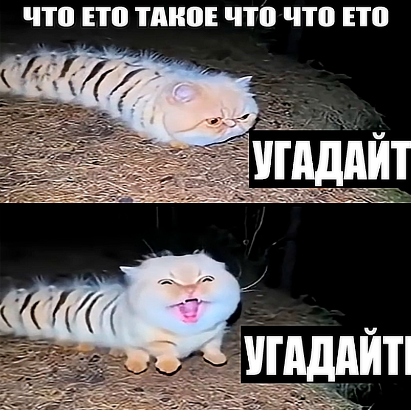 1763592012081.png
