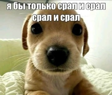 1763657397575.png