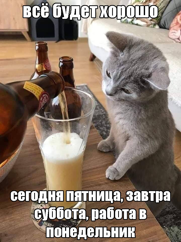 1763760539247.png