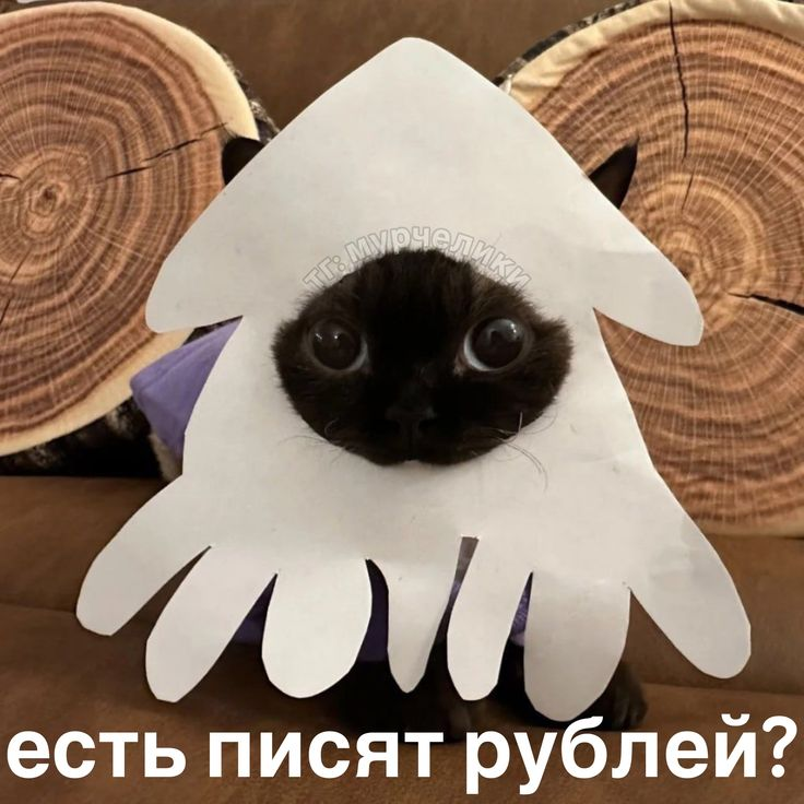 1763760690159.png