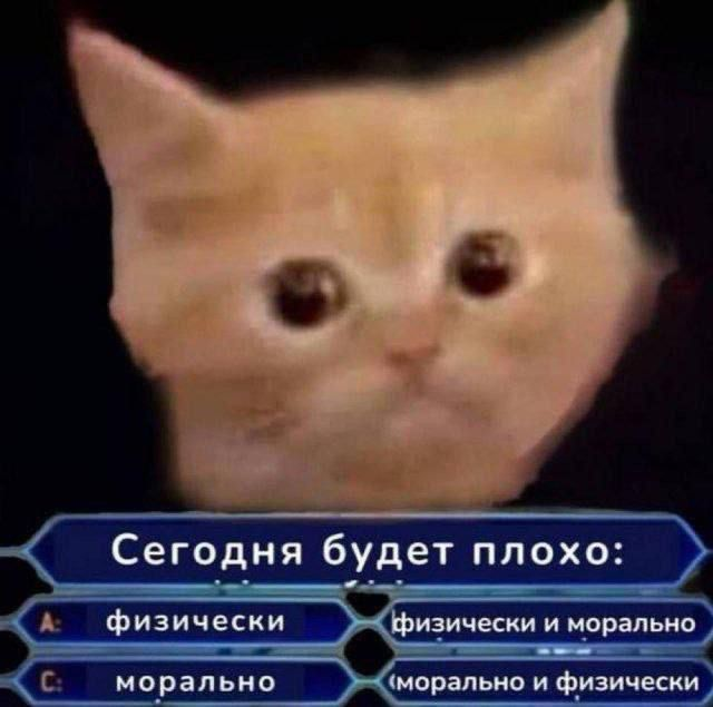 1763879143846.png