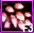 1764008159244.png