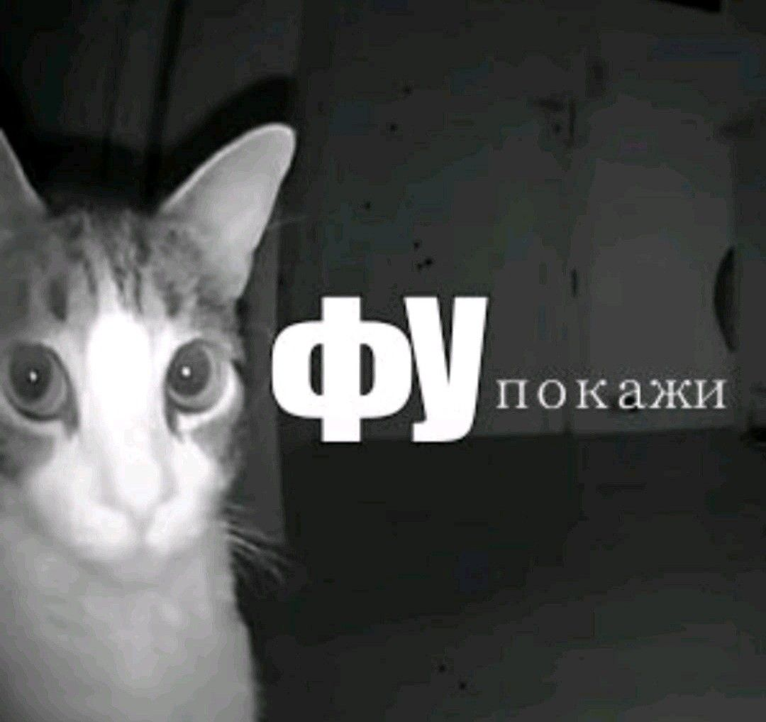 1764237559808.png