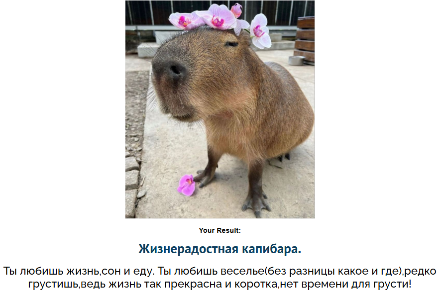 1764314776417.png