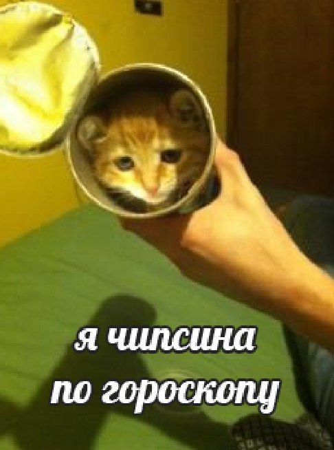 1764339218581.png