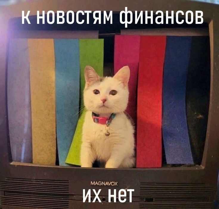 1764339243452.png