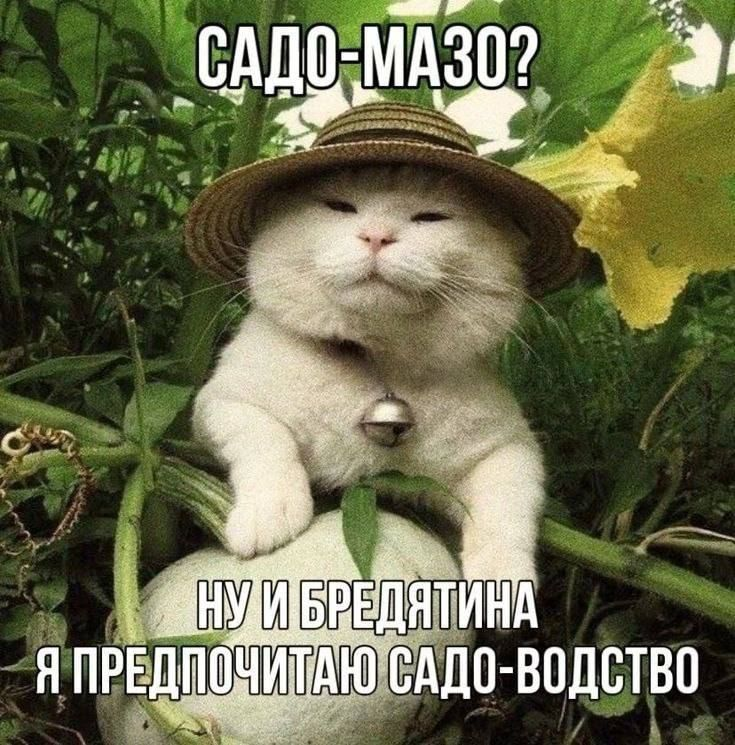 1764339351304.png