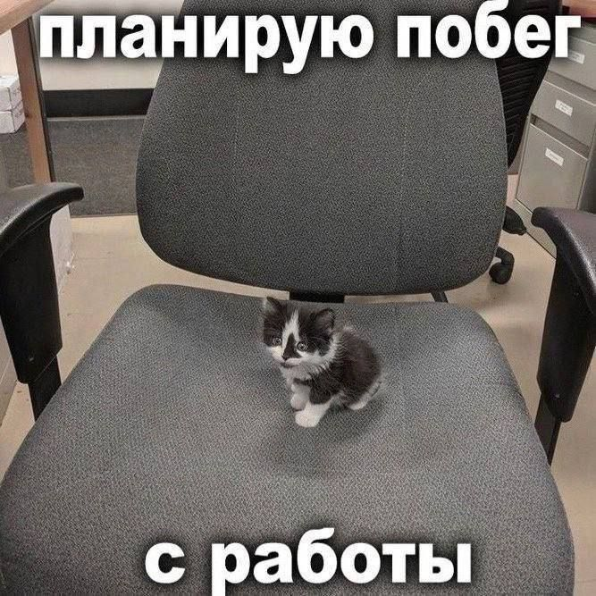1764339452297.png