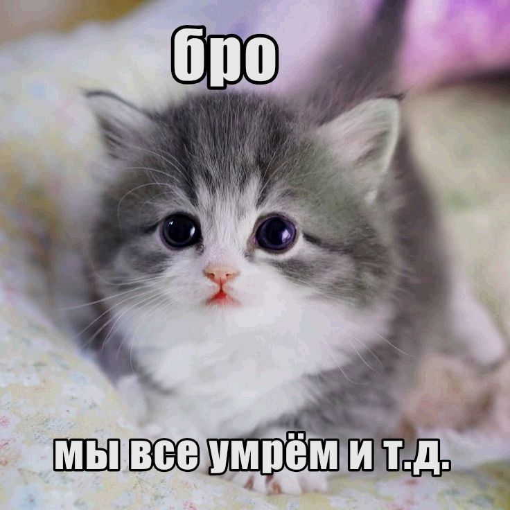 1764339678781.png