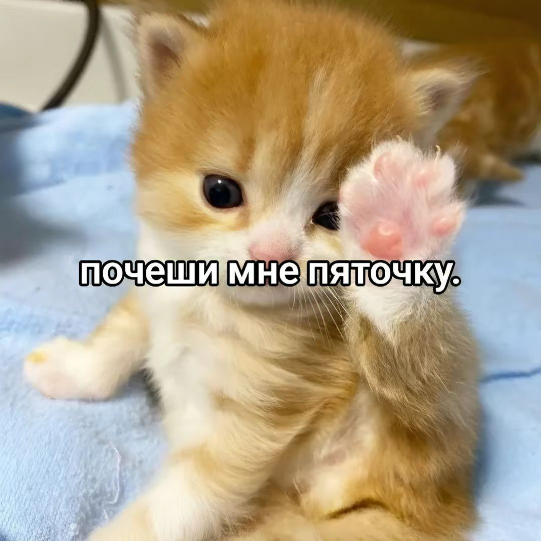1764339770488.png