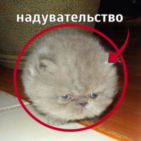 1764339857180.png