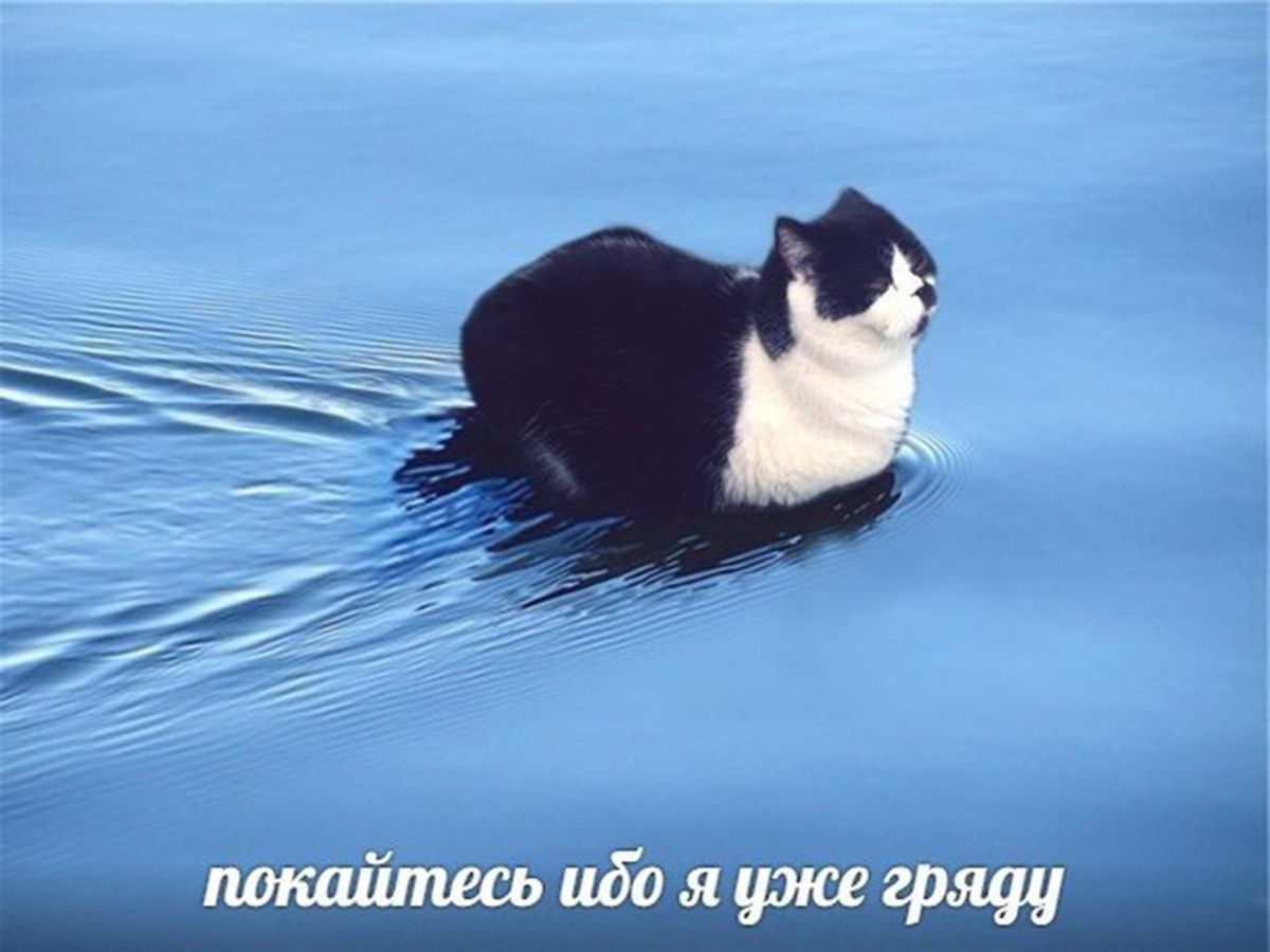 1764344345992.png